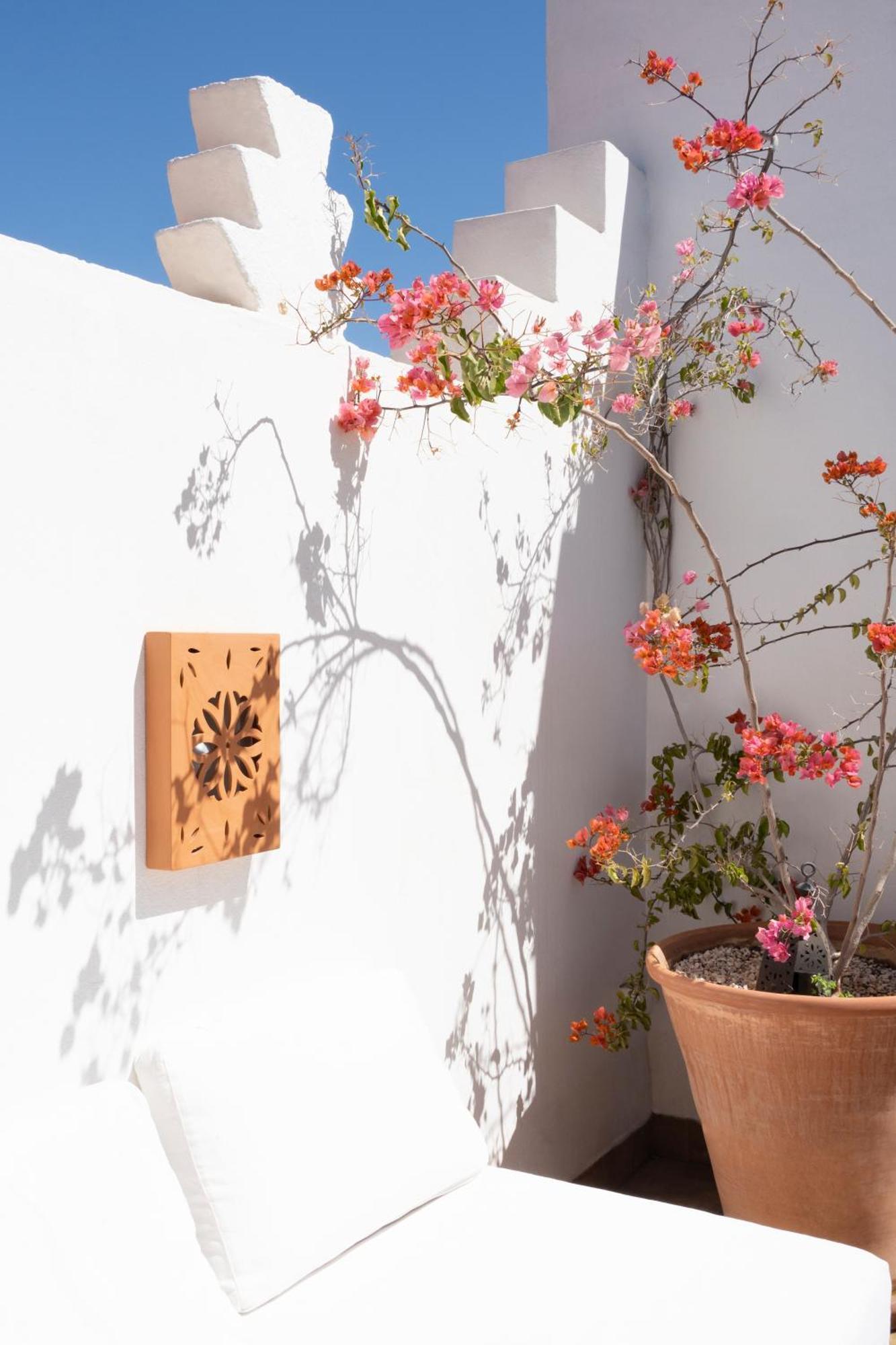 Riad Sashema Marrakesz Zewnętrze zdjęcie